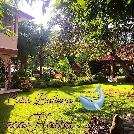 Casa Ballena Eco Hostel Uvita Exterior photo